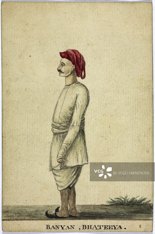 榕树，巴蒂亚图片素材