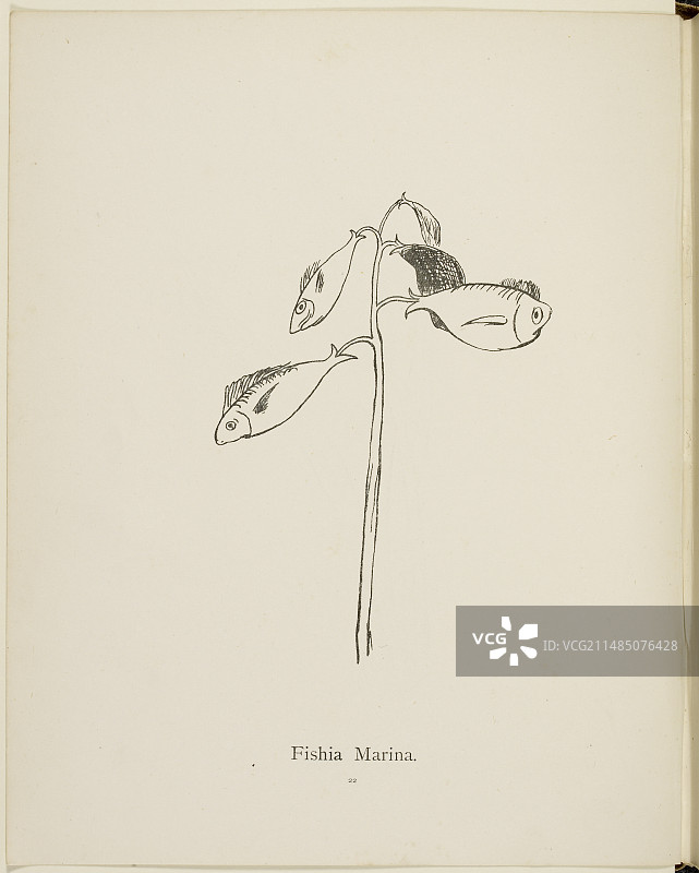 爱德华·李尔的荒诞植物学收藏图片素材