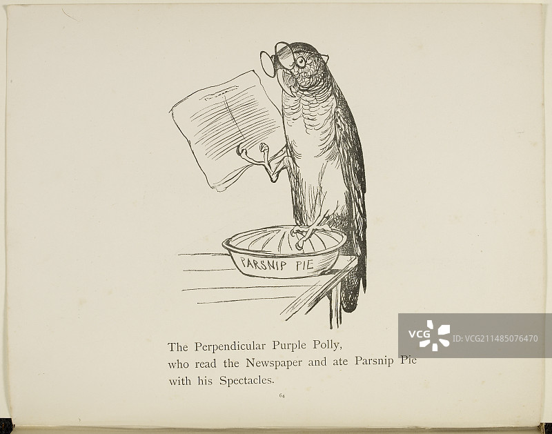 鹦鹉阅读报纸图片素材