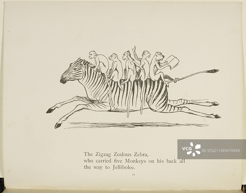 猴子骑在斑马上图片素材