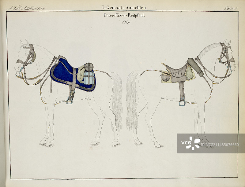 骑兵马鞍和缰绳图片素材