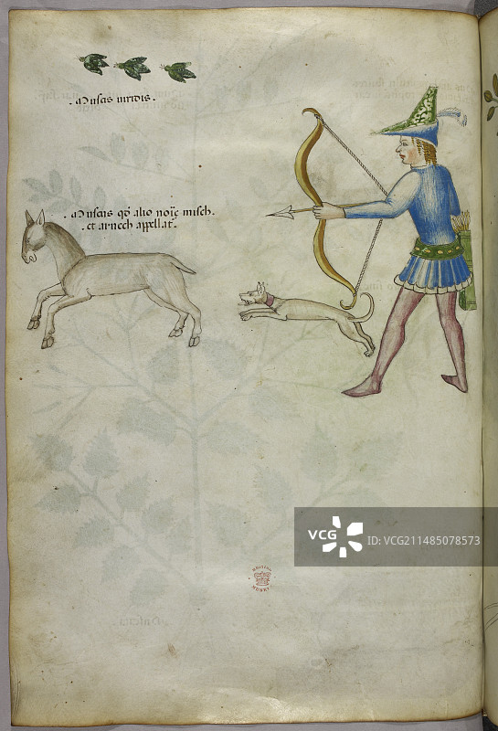 男人拉弓射击动物图片素材