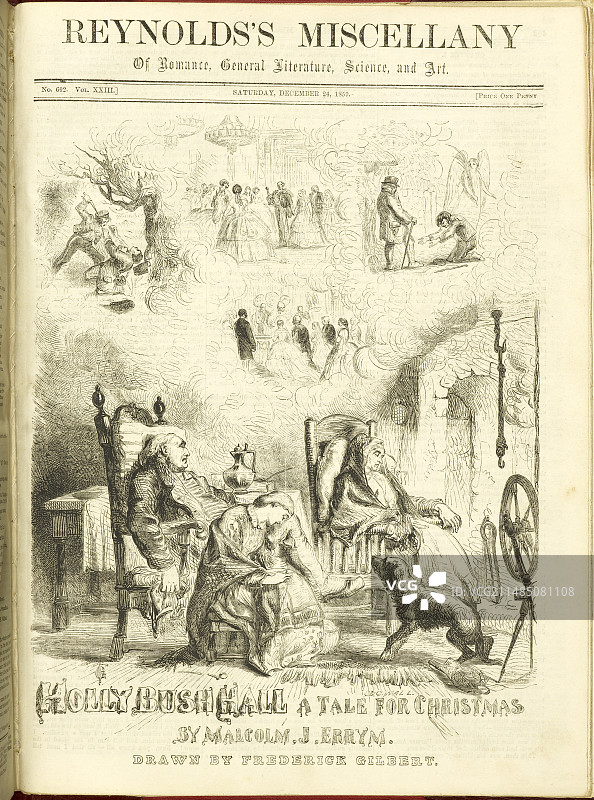 冬青灌木大厅图片素材