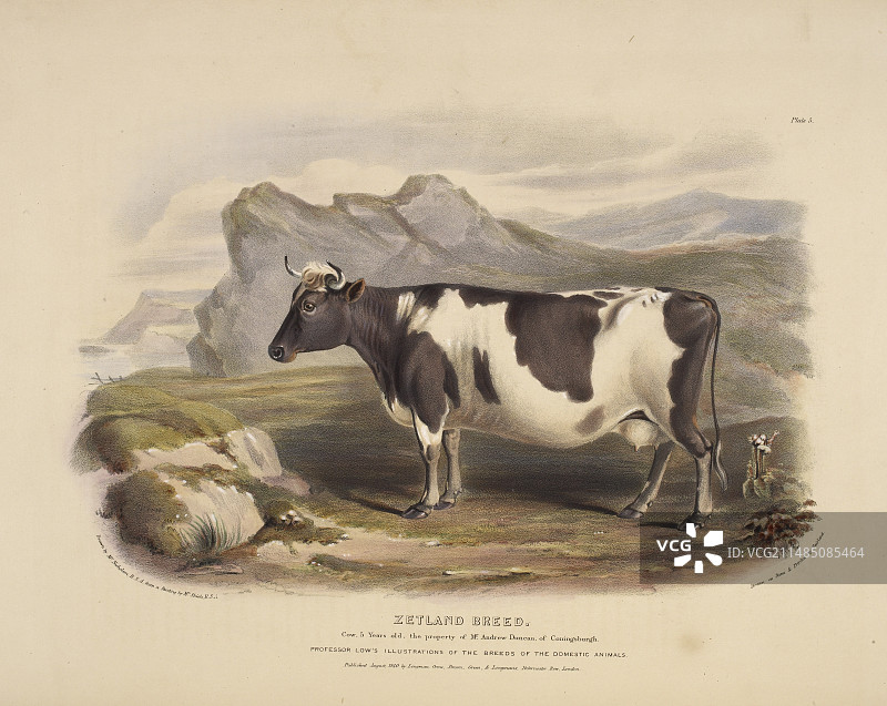 克莱兹代尔马图片素材