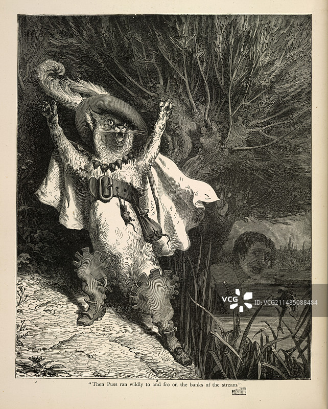 穿靴子的猫图片素材