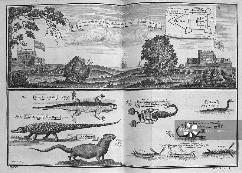 英国和荷兰的堡垒图片素材