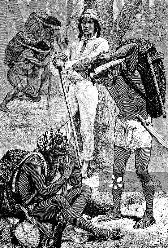 南美洲的印度橡胶采集者图片素材