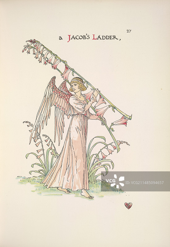 花卉婚礼图片素材