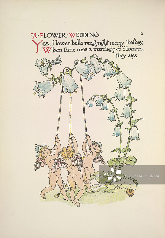 花卉婚礼图片素材