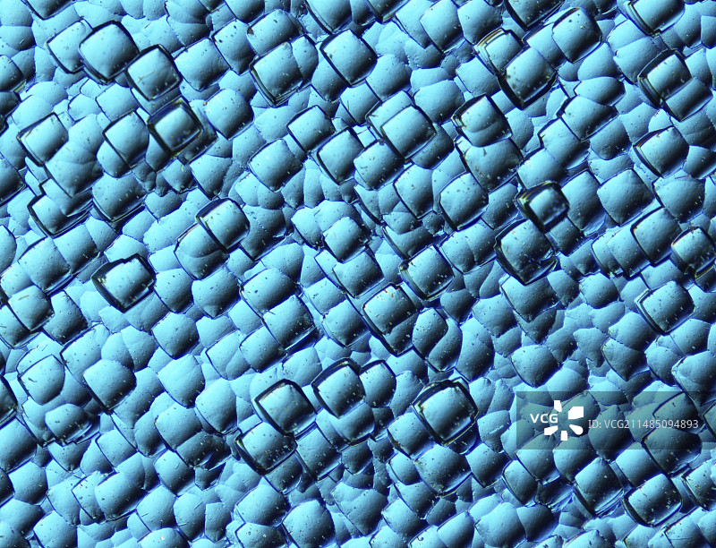 单晶太阳能电池显微照片图片素材