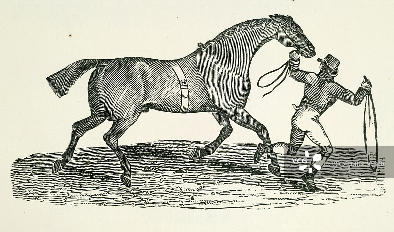 人与马图片素材