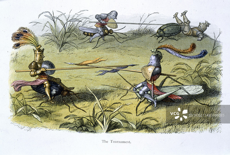 精灵骑士比武图片素材