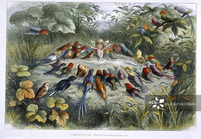 精灵和小鸟图片素材