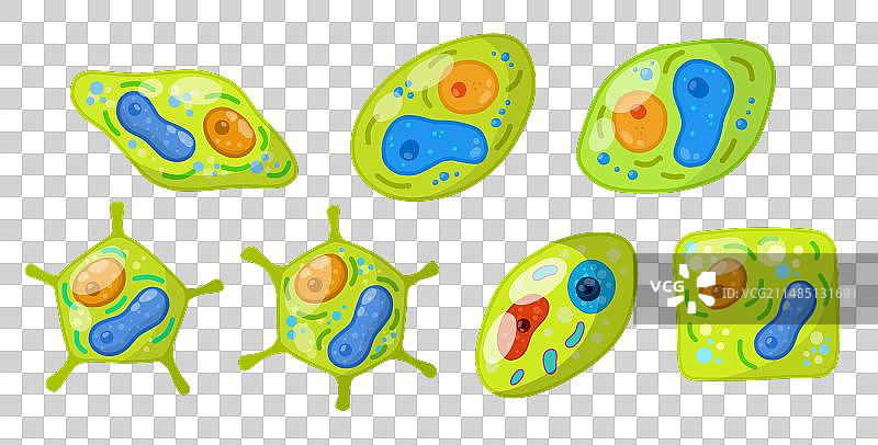 植物绿色细胞图片素材