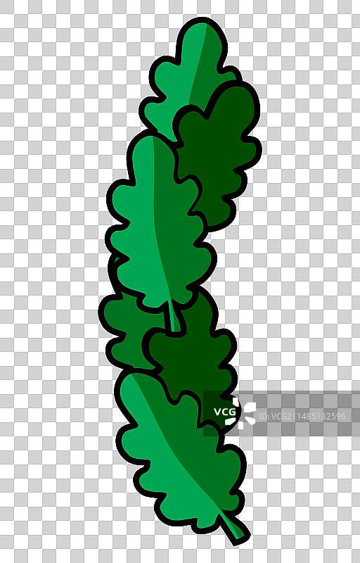 一排橡树叶植物装饰图片素材