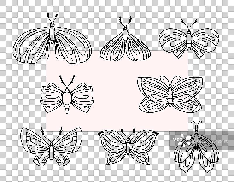 线条涂鸦飞蛾图片素材