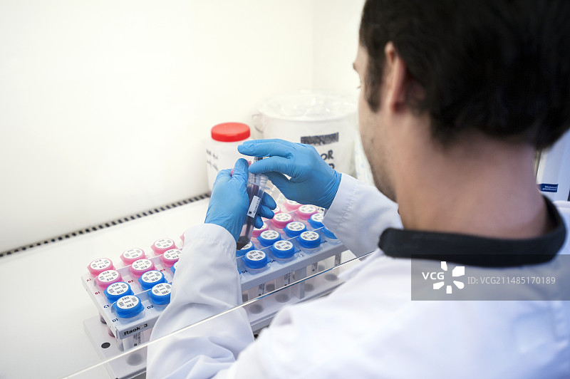 基因分析，样本制备图片素材