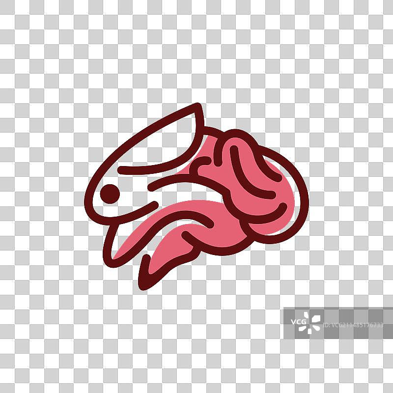 兔子大脑Logo宠物跳跃的兔子图片素材