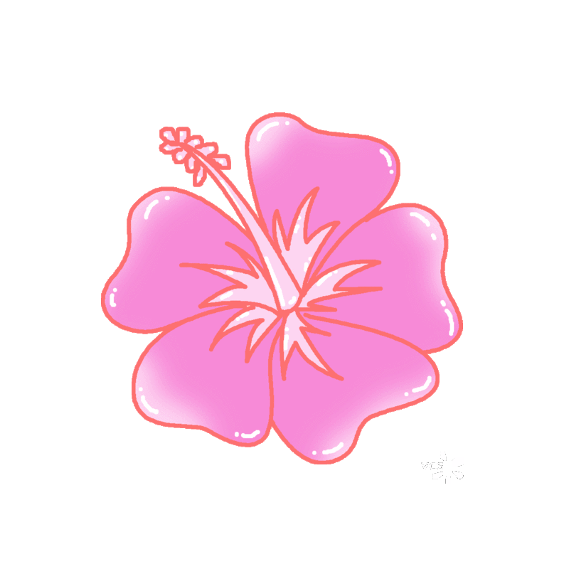 粉色花朵插画图片素材