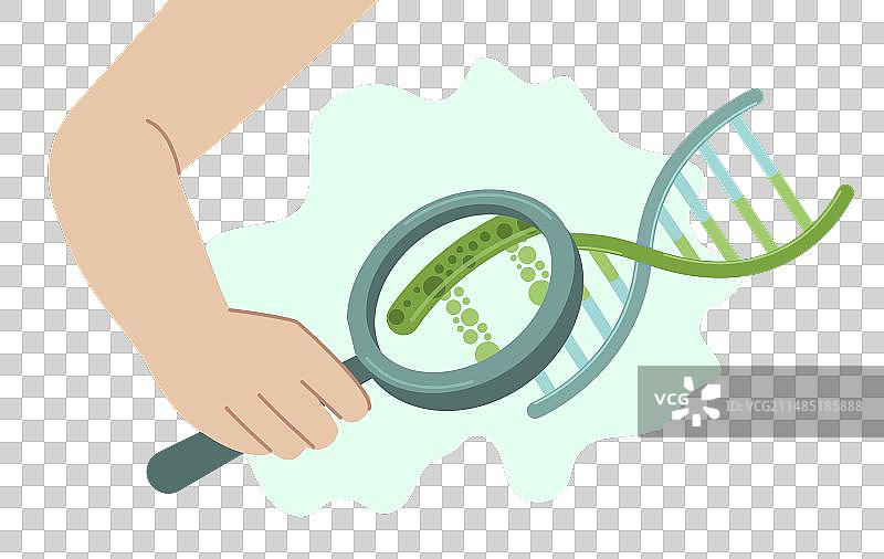 DNA遗传测试个人基因分析图片素材