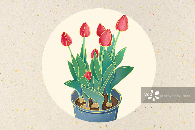 郁金香鲜花花卉春天植物插画图片素材