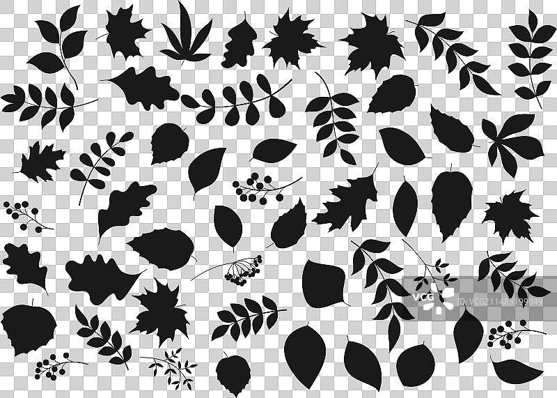 叶子和浆果黑色剪影合集图片素材