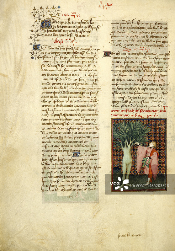 阿波罗与达芙妮图片素材