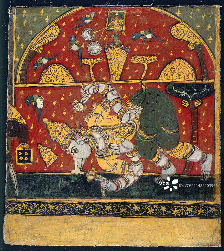 野猪下潜入海图片素材