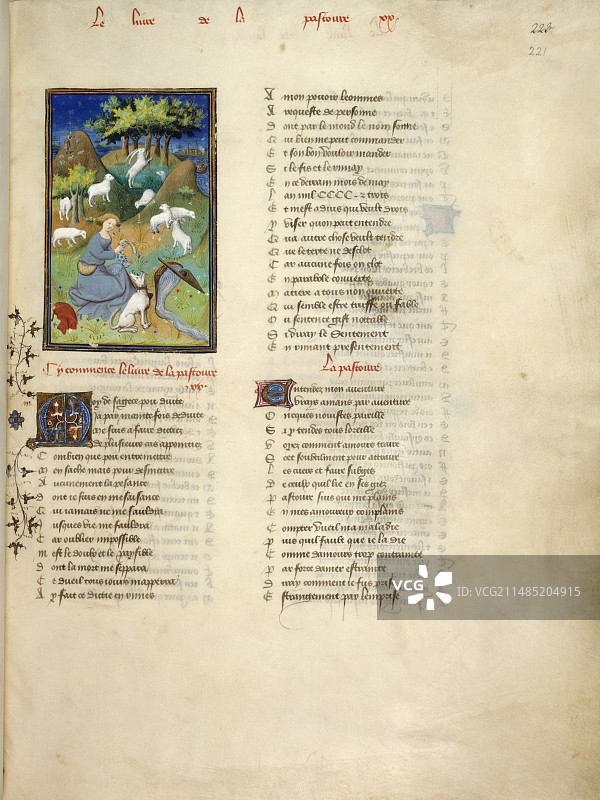 牧羊女看护羊群图片素材