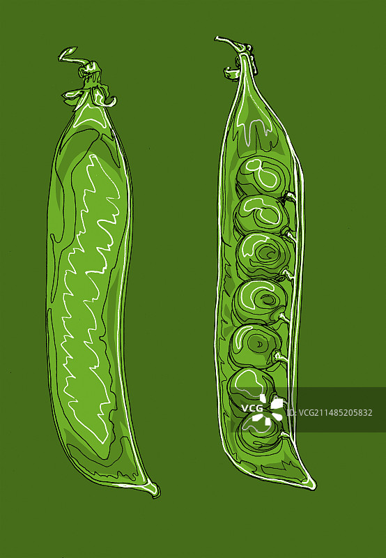 豌豆荚插画图片素材