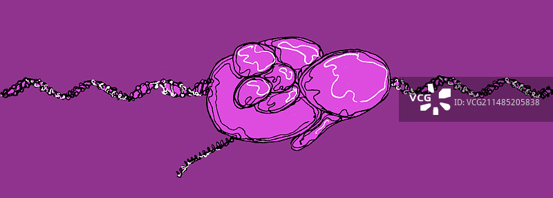 DNA转录图示图片素材