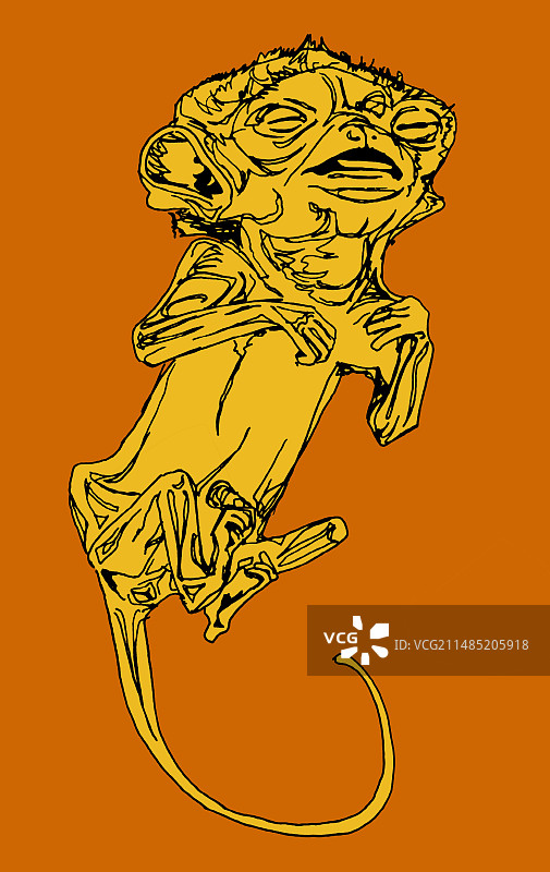 狐猴胎儿插画图片素材