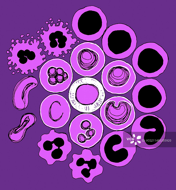 血细胞插图图片素材