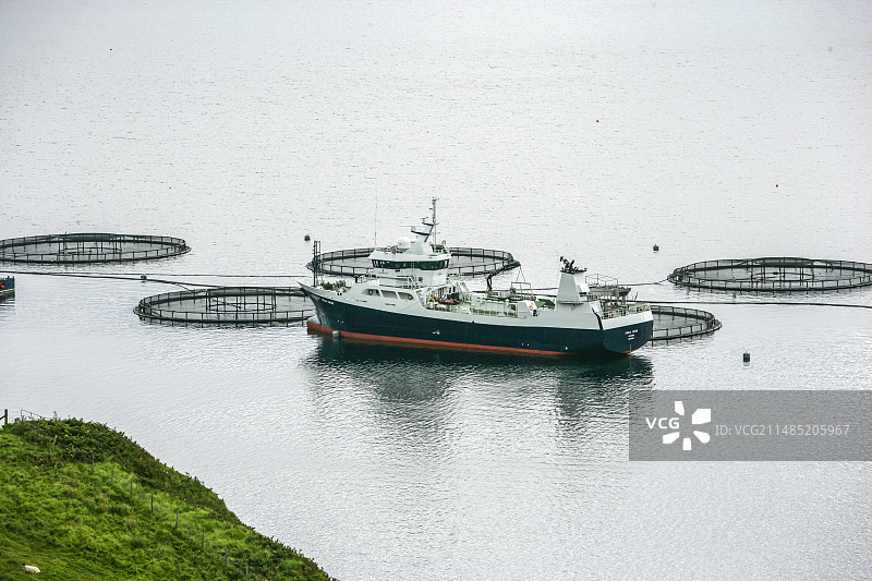 配备专业船只的三文鱼养殖场图片素材