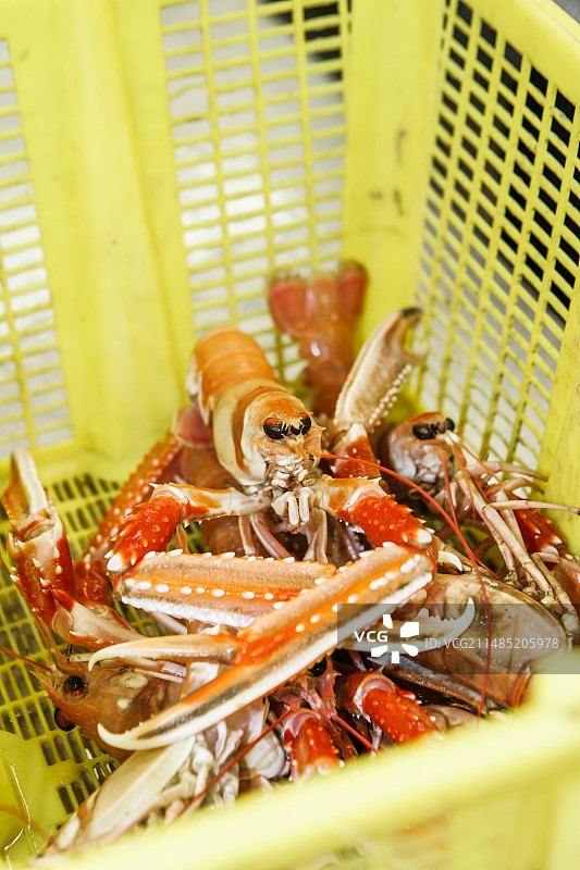新鲜鳌虾图片素材