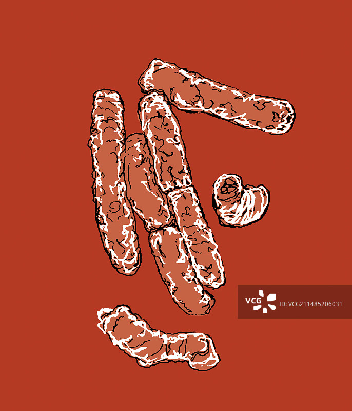 大肠杆菌细菌，图示图片素材