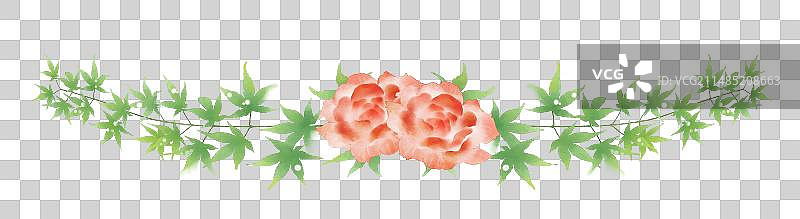 绿色植物花朵分割线素材图片素材