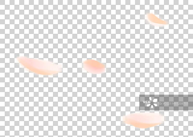 手绘飘飞白玉兰花瓣免抠元素图片素材