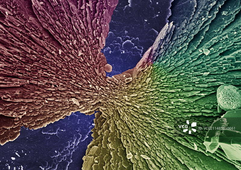 碳酸钙，扫描电镜图片素材