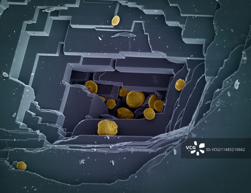 碳酸钙，扫描电镜图片素材