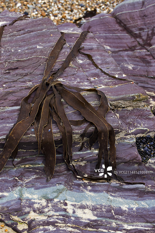 泥盆纪板岩图片素材