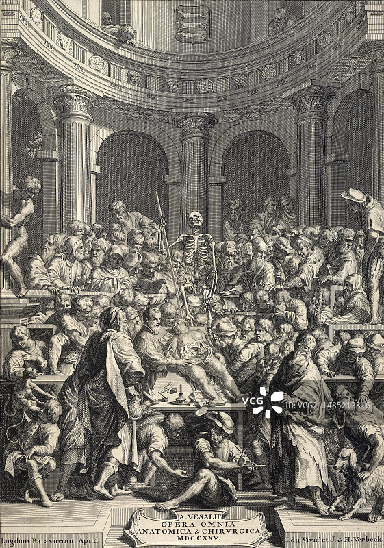 18世纪的尸体解剖图片素材
