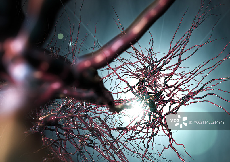 金字塔形神经细胞艺术图图片素材