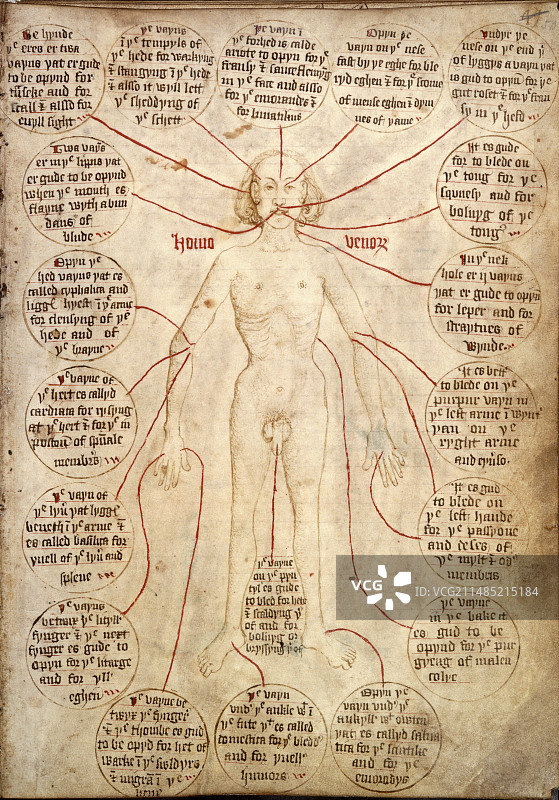 15世纪的放血说明图片素材