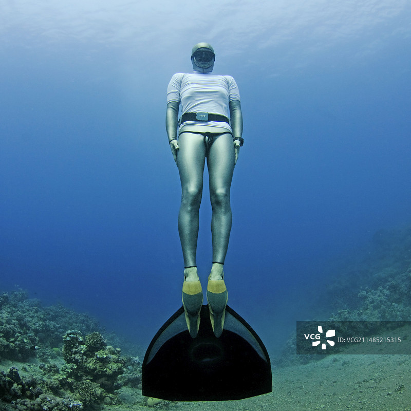 水下自由潜水员图片素材
