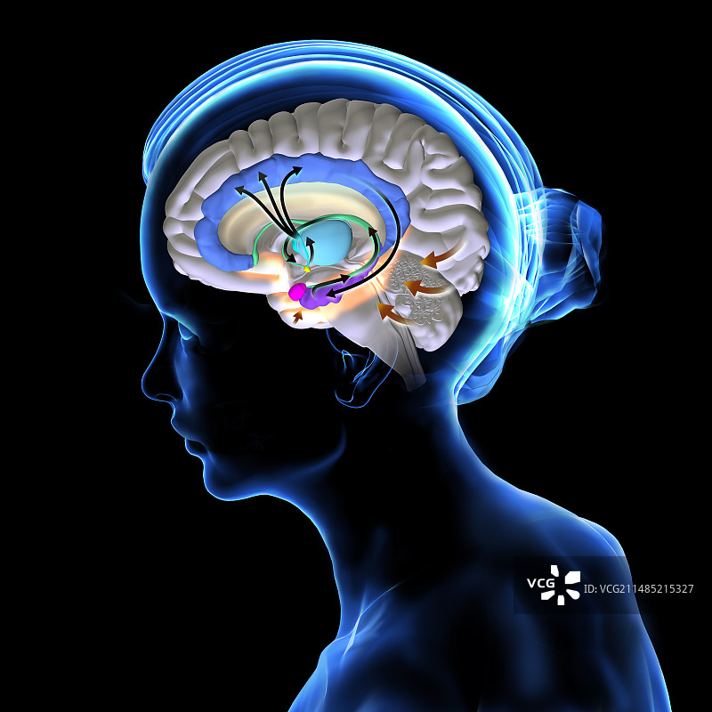 佩皮兹环路图片素材