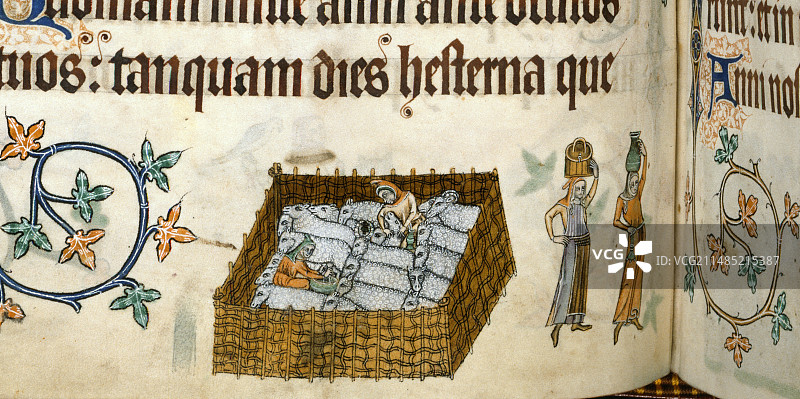 《卢特雷尔诗篇》中的中世纪农业耕作图片素材