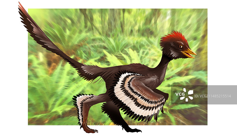 似鸟龙羽毛恐龙艺术作品图片素材