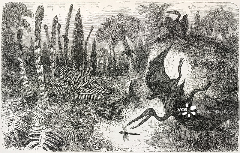 侏罗纪时期的翼龙图片素材