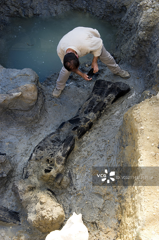 法国古生物发掘图片素材